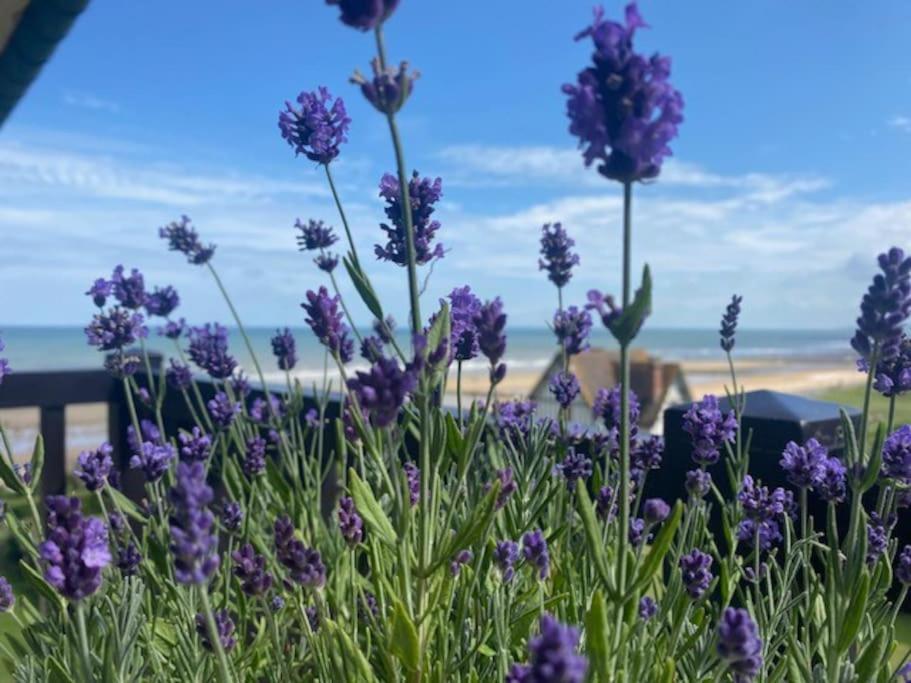 Sur La Plage / Enjoy The Beach Apartment Cabourg Bagian luar foto